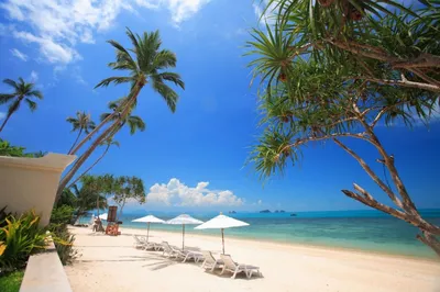 Лучшие пляжи Тайланда |