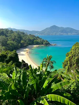 travel #thailand #island #sea #palm #green #beach #пляж #тайланд #остров  #лазурный #берег | Остров, Паттайя, Художественная фотография