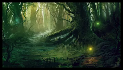 Таинственный лес | Пикабу