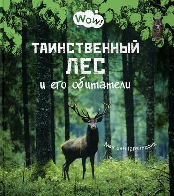 Купить картину Таинственный лес в Москве от художника Краснова Дарья