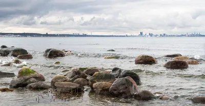 Балтийское море, Таллинн, Эстония / Baltic sea, Tallinn, Estonia — Фото  №89310