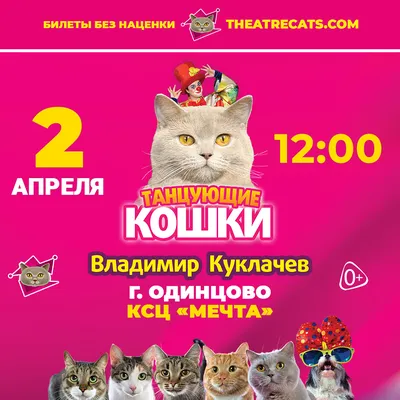 Танцующие Кошки» - Афиша - РИАМО в Подольске