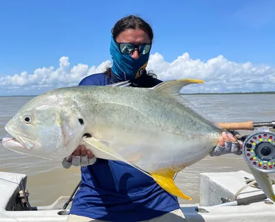 Флорида » Тарпон (Tarpon, Megalops atlanticus)