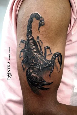 3D tattoo design, scorpion tattoo, realistic tattoo design | Tatuagem de  escorpião, Tatuagem escorpião, Tatuagens