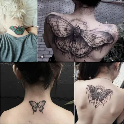 Тату бабочки на спине (ФОТО) - trendymode.ru