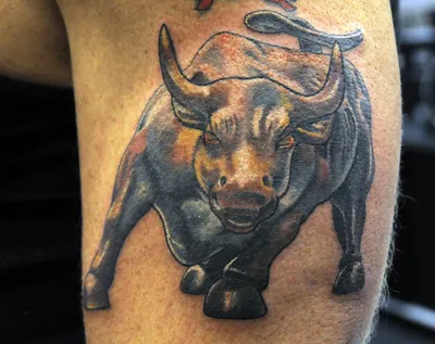 Как нарисовать татуировку быка карандашом поэтапно