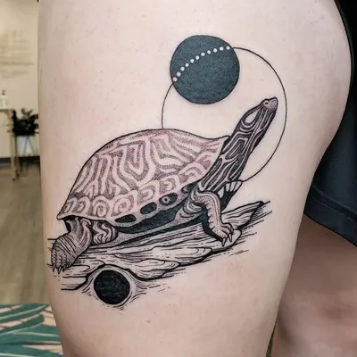 Тату черепаха: 50+ фото и идей, значение татуировки и эскизы