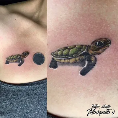 Тату черепаха (38 фото) - значение татуировки, эскизы 2023