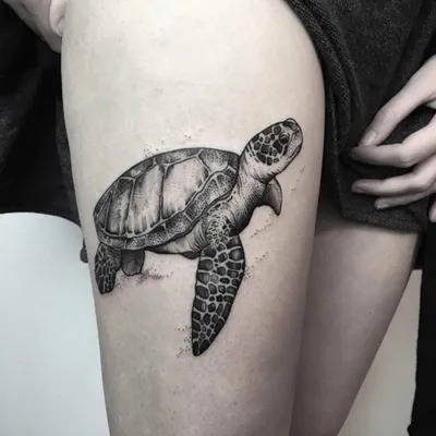 Tattoo • Значение тату: черепаха и черепашка