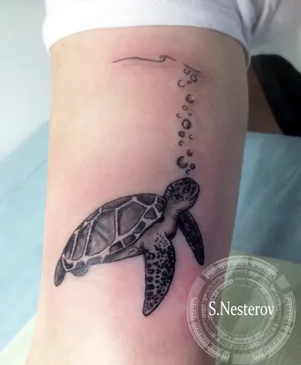 Что же означает татуировка черепахи? | tattoo-sketches.com | Дзен