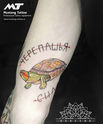 Тату Черепаха 🐢 — значение, эскизы и фото татуировок для девушек и мужчин