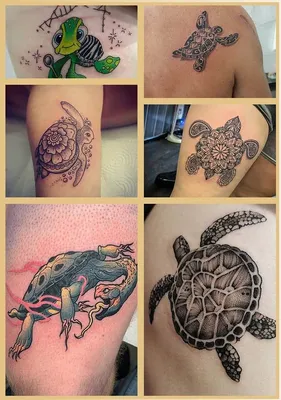 Тату на руке черепаха Татуировка с черепахой l 1000+ эскизов | Татуировка с  черепахой, Тату, L тату