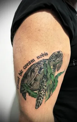 Значение тату черепаха у мужчин на руке - tattopic.ru