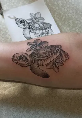 Морская черепашка по имени Наташка 🙂 #тату #черепаха #полинезия Хочу  напомнить ещё раз. Все эскизы для своих татуировок я рисую сразу на… |  Instagram