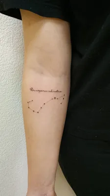 Через тернии к звёздам 🌟 | Idee per tatuaggi, Tatuaggi scritti, Tatuaggi