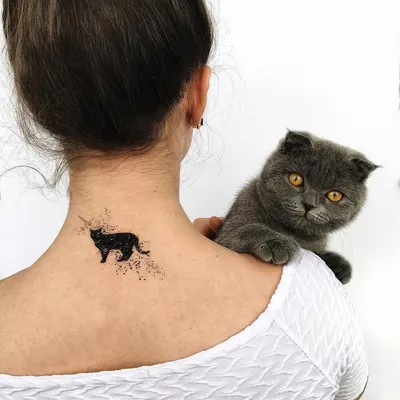 Тату Черная пантера Ink Cat, черная пантера, млекопитающее, кошка, как  млекопитающее png | Klipartz