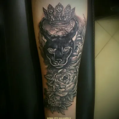 Tattoo sketch panther/cougar | Пантера, Татуировка черная пантера, Тату