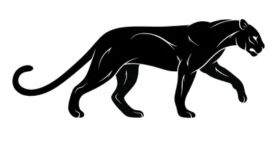 Значение тату пантера - идеи, факты, смысл, куда наносить