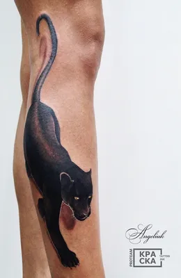 Тату Черная пантера Ink Cat, черная пантера, млекопитающее, кошка, как  млекопитающее png | Klipartz