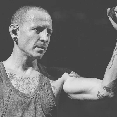 Chester | Честер беннингтон, Честер, Плакат