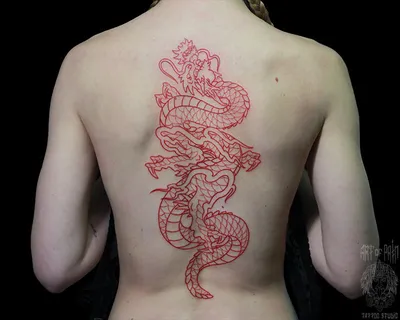 Тату дракона на спине для женщины | Dragon tattoo designs, Sleeve tattoos,  Body art tattoos