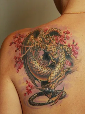 Татуировка дракон на спине - фото работ мастеров на сайте theYou.com