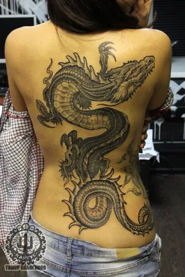 Тату дракон на спине | Тату на спине, Олдскул татуировки, Татуировки