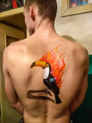 Фото тату феникс на спине 18.07.2019 №001 - phoenix tattoo on the back -  tatufoto.com - tatufoto.com