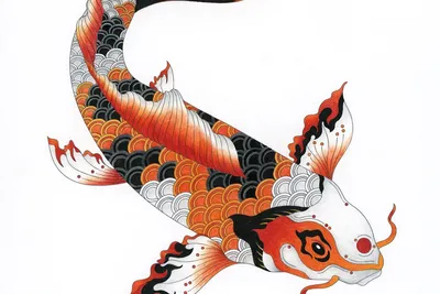 Resultado de imagen para koi fish tattoo desing | Koi tattoo design,  Japanese koi fish tattoo, Japanese tattoo koi