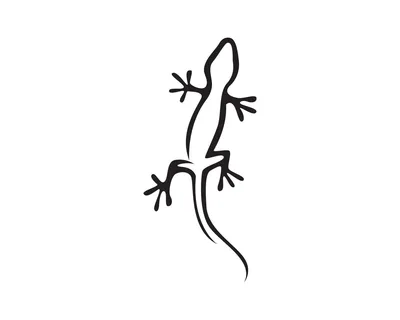 Тату ящерица | Lizard, Animal tattoo, Tattoos