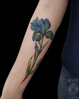 Тату ирис геометрия цветы дотворк лайнворк киев | Trendy tattoos, Tattoo  designs, Iris tattoo