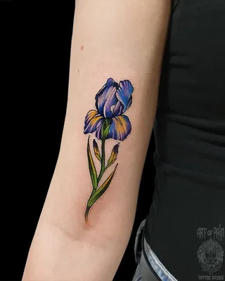 Miami Tattoos, Переводные тату Iris - купить в интернет-магазине  КрасоткаПро.