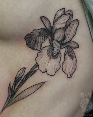 татуировки цветы ирис эскиз стол стул кровать занавес аптека кот | Blue  flower tattoos, Flower tattoo designs, Iris flower tattoo
