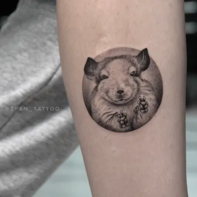 Фото рисунка тату кабан 11.10.2018 №071 - boar tattoo - tattoo-photo.ru -  tattoo-photo.ru