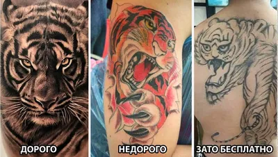 Тату-салоны в Крыму: модные татуировки, цены, отзывы - KP.RU