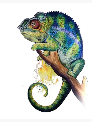 35 Colorful Chameleon Tattoo Ideas – Cheerful Designs That Will Make You  Smile Check more at http://tatt… | Tatuagem camaleão, Tatuagens de arte  corporal, Tatuagens