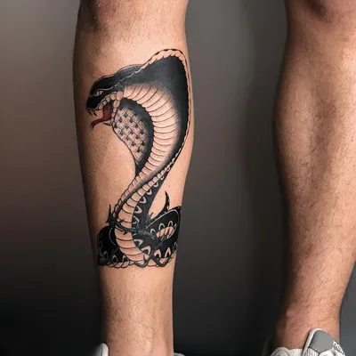 Тату кобра (10 фото) - значение татуировки, эскизы 2023