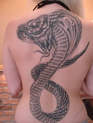 Значение татуировки змеи у девушки - все, что нужно знать - tattopic.ru