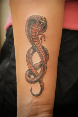 Тату в виде змей: оригинальное решение для татуировки - tattopic.ru