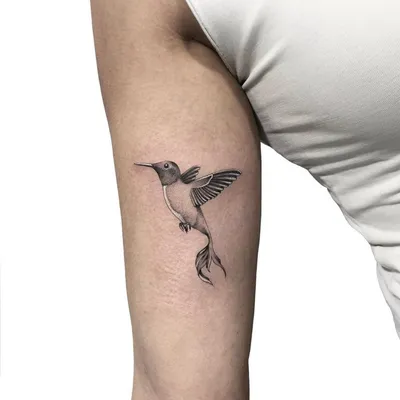 Маленькая, но гордая птичка Колибри в полете - Бесплатные эскизы тату от  Искусственного Интеллекта и автора канала | Нейронный Арт | Дзен