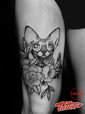 Тату сфинкс кот tattoo linework | Тату сфинкса, Парные татуировки, Тату