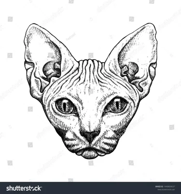 Стоковая иллюстрация «Beautiful Minimalism Tattoo Sketch Cat Sphinx»,  1440659537 | Татуировки черной кошки, Эскизы животных, Эскиз татуировки