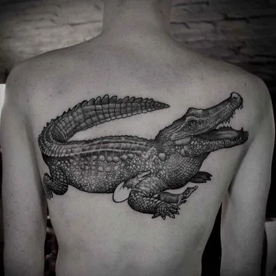 Значение тату крокодил: что означает татуировка крокодил, фото