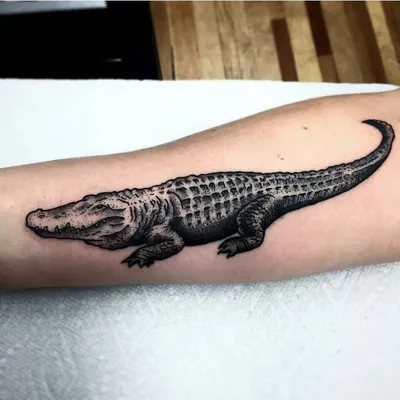 Что означает татуировка крокодил? | Студия МИР ТАТУ | Дзен