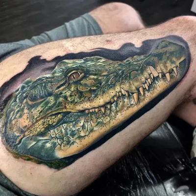 Тату ескізи \"Крокодил\" - VeAn Tattoo