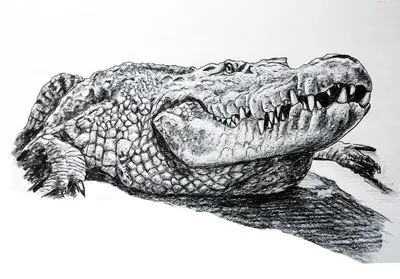 Жил да был Крокодил. Он по улицам ходил, Папиросы курил, По-турецки  говорил🐊 Два сеанса! Мастер Мила🔥 В конце карусели видео… | Instagram