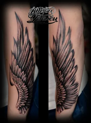 Татуировка крыло в реализме на предплечье #tattooed #tattoodesign  #tattooedgirl #tattoomodel … | Женские татуировки на бедре, Татуировка  крылья, Татуировки с крылом