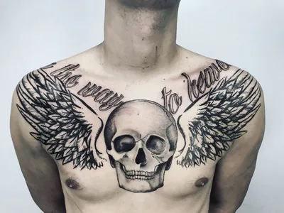 Tattoo • Тату Крылья