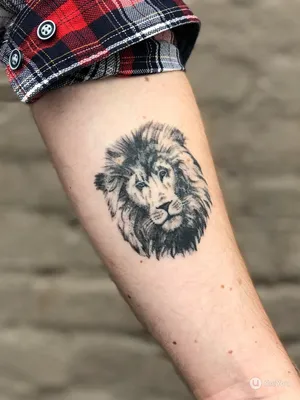 Мужские Татуировки со Львом на Руке | Лучшие Мужские и Женские Тату Идеи и  их Значения ☛ … | Татуировка в виде льва, Король лев татуировки, Тату на  руку для девушки