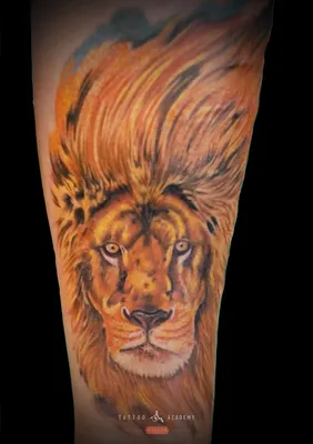 Тату лев для девушек и мужчин | Значение и эскизы татуировки со львом